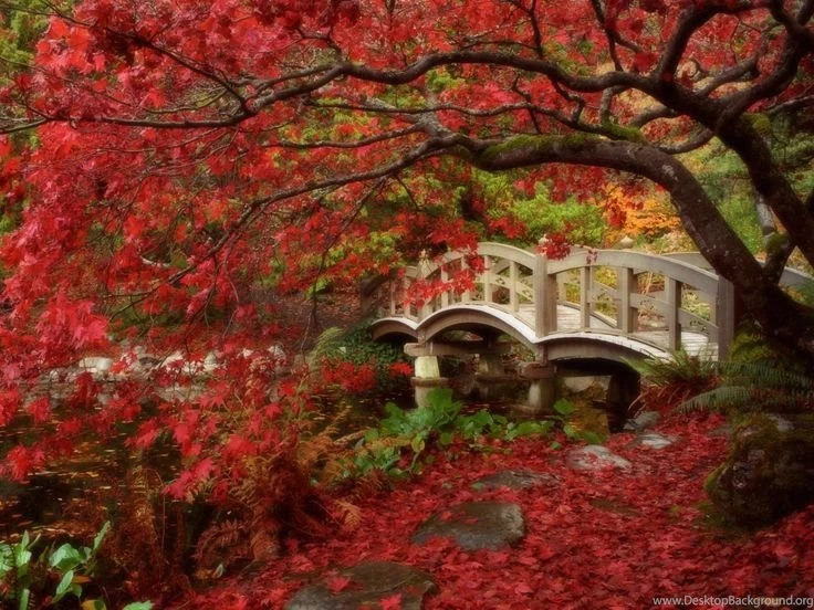 Fall Desktop Backgrounds