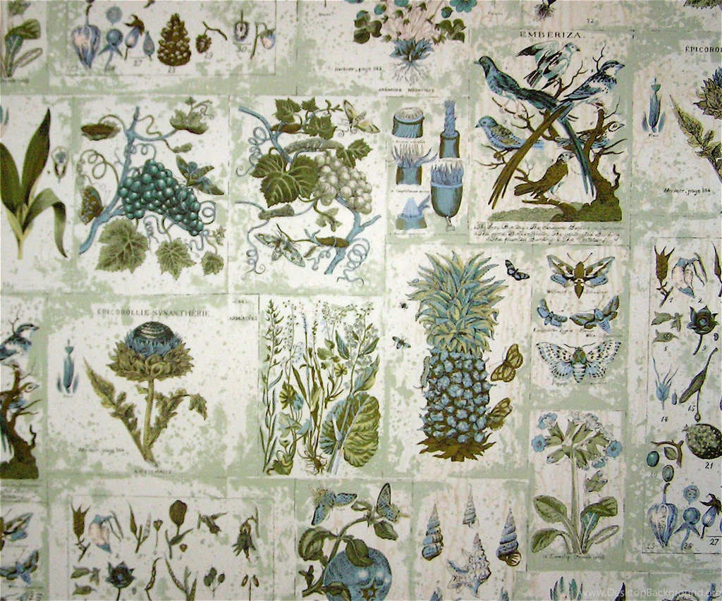 Larger Section Of Botanical Wallpapers