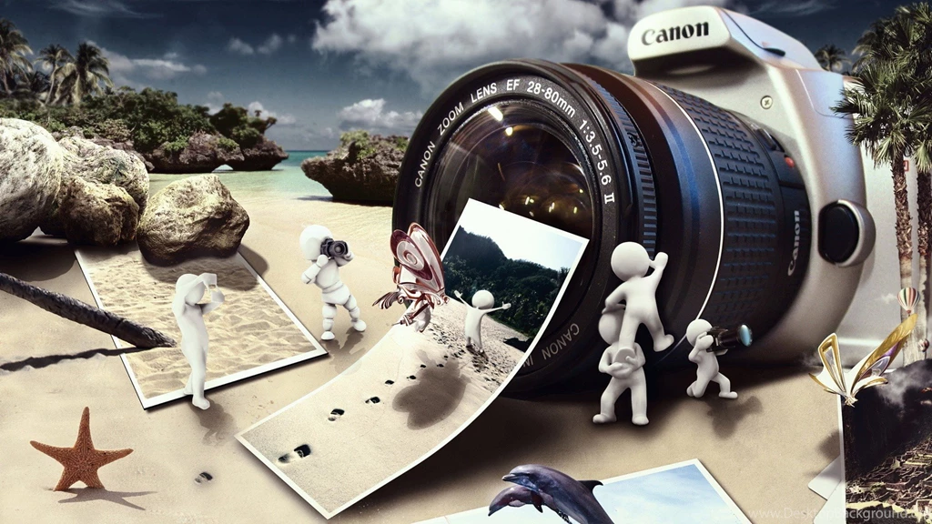 Sand, Cameras, Starfish, Canon, Dolphins, Camera Lens ...