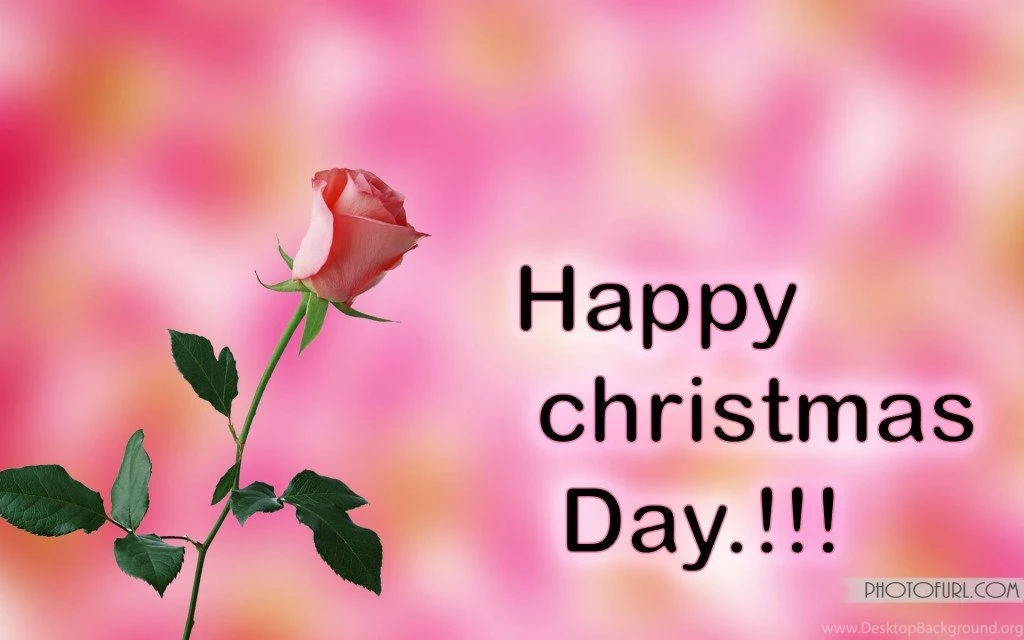 Latest Free Christmas Celebration, Eid Ul Adha Flowers, Bears ...