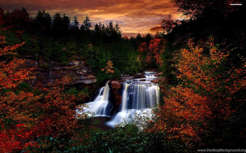 Blackwater State Park Wallpapers » WallDevil Best Free HD Desktop ...