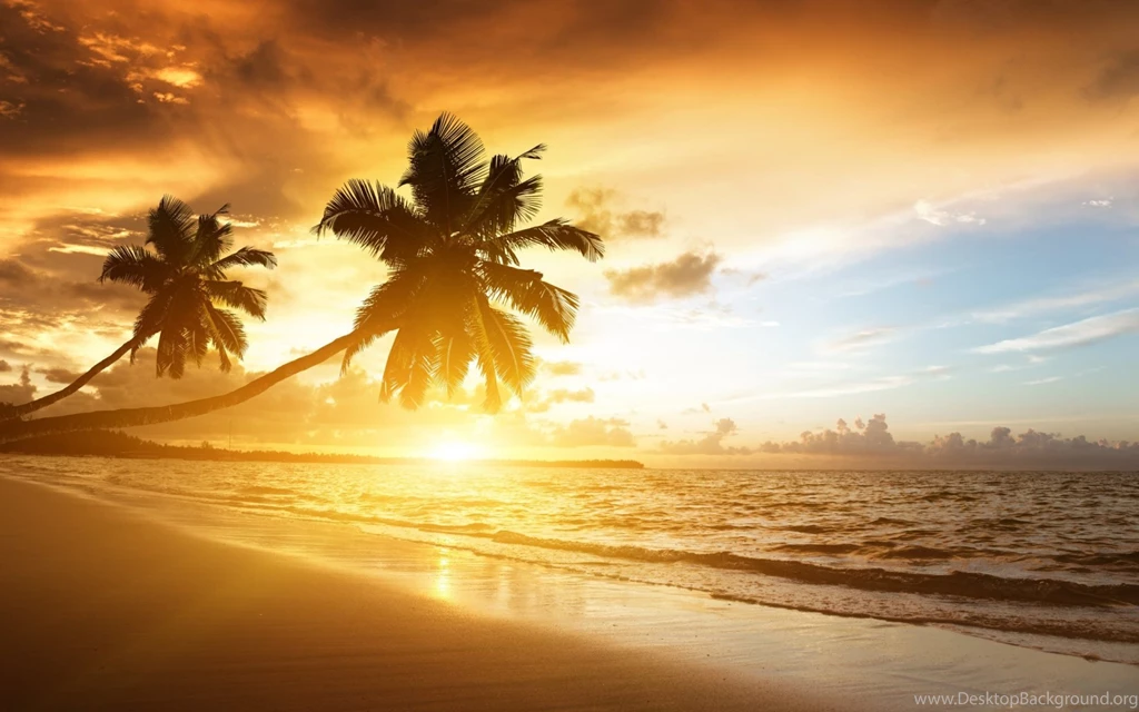 33+ Beach Sunset Designs