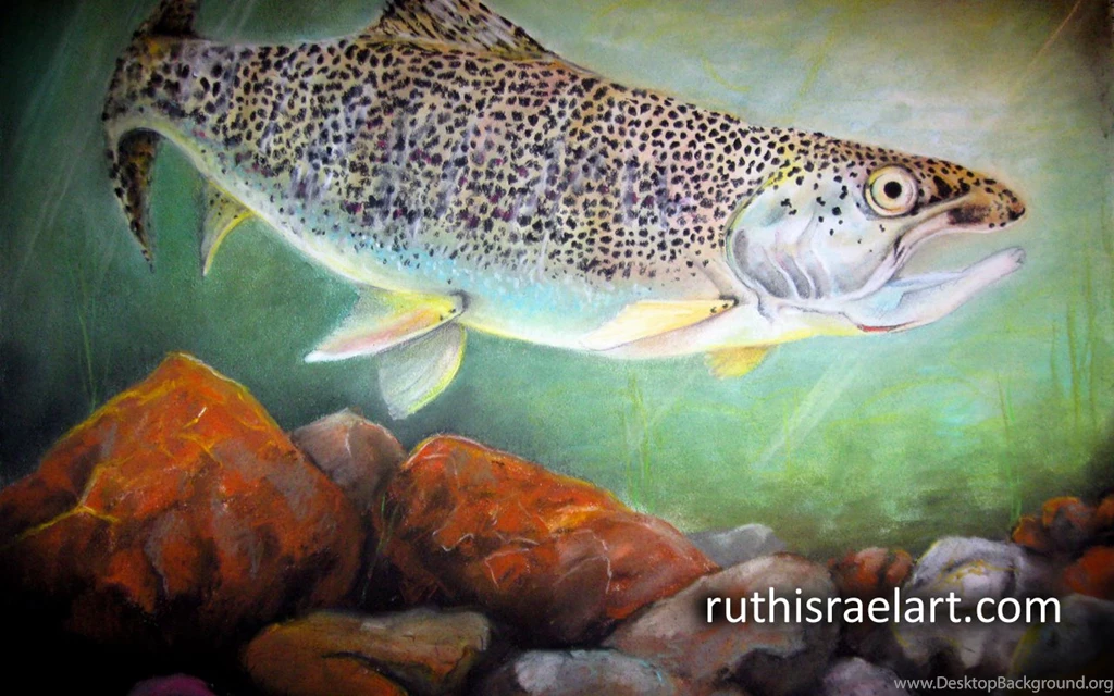 Rainbow Trout Free Wallpapers Ruth Israel Ruth Israel Art + Music