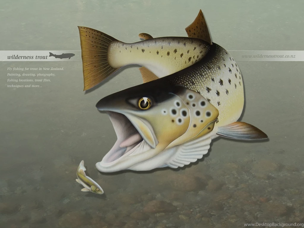 Downloads Wallpapers   104243