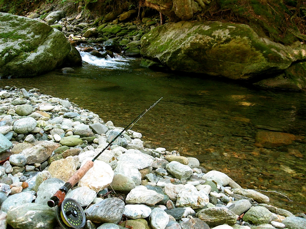Woods Wanderer » Fly Fishing