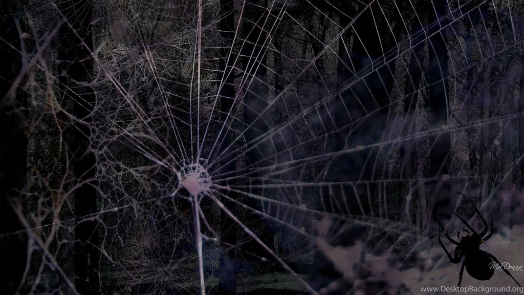 Spider Web Backgrounds Wallpapers