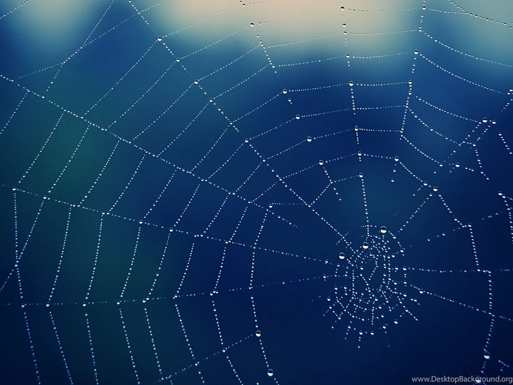 Spider Web Backgrounds Wallpapers Cave