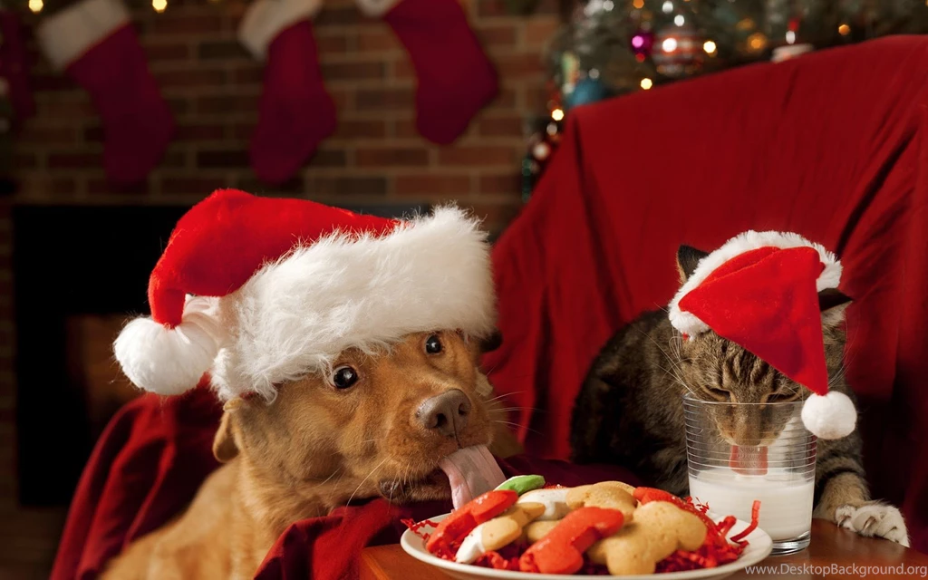 Christmas Wallpapers With Dogs