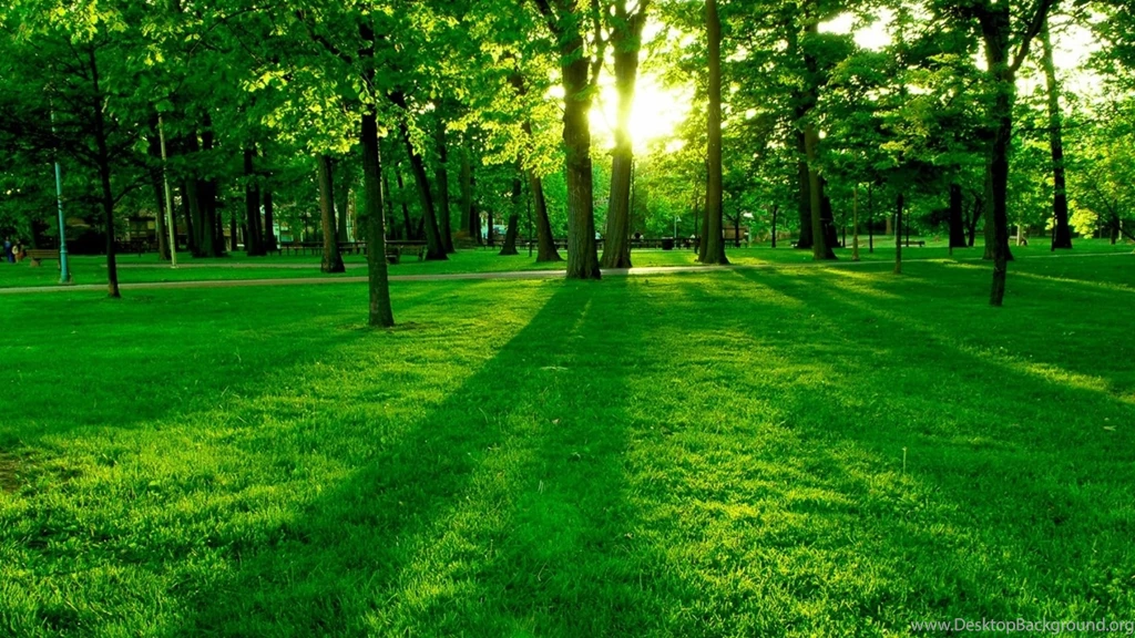 Backgrounds Desktop Wallpapers Best HD Desktop Wallpapers 1080p HD ...