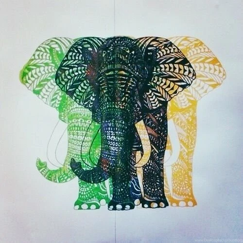 Elephant Backgrounds On Pinterest