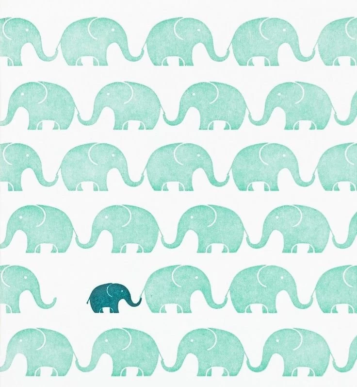 Elephants ♡ On Pinterest