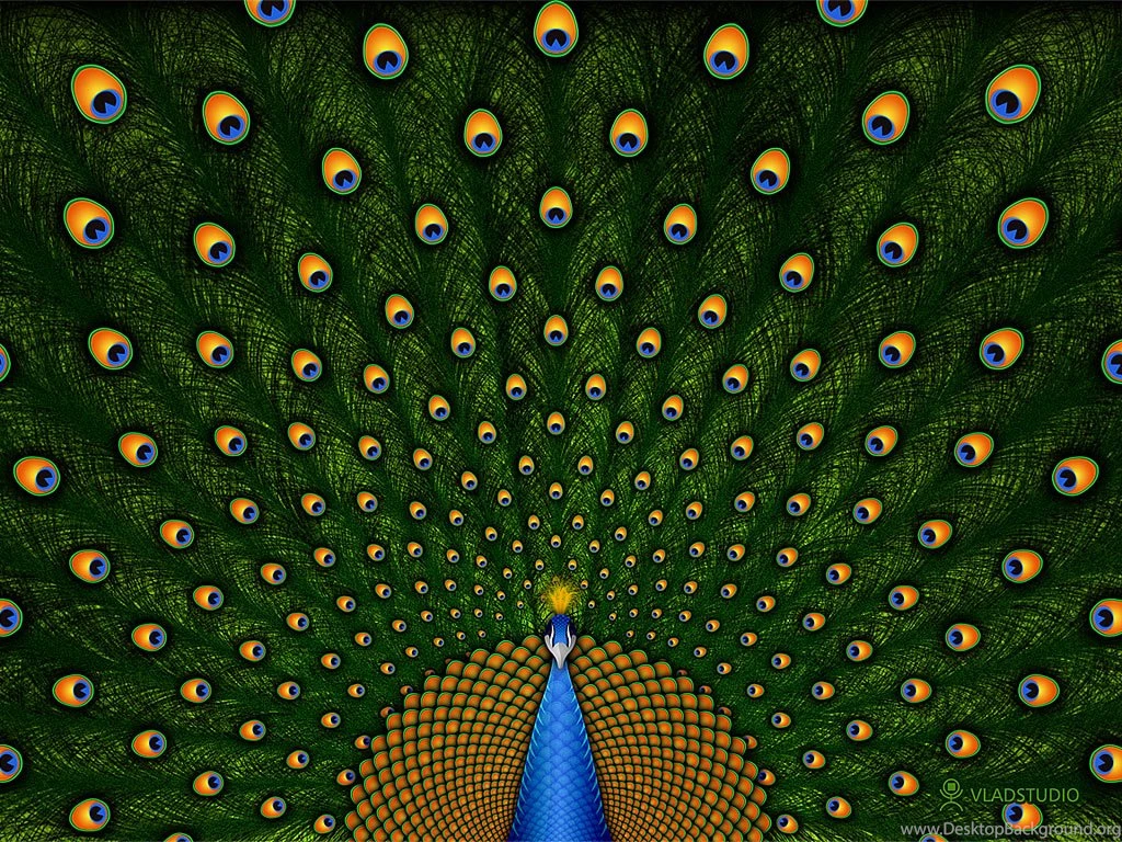 Peacock Drawing Wallpaper.