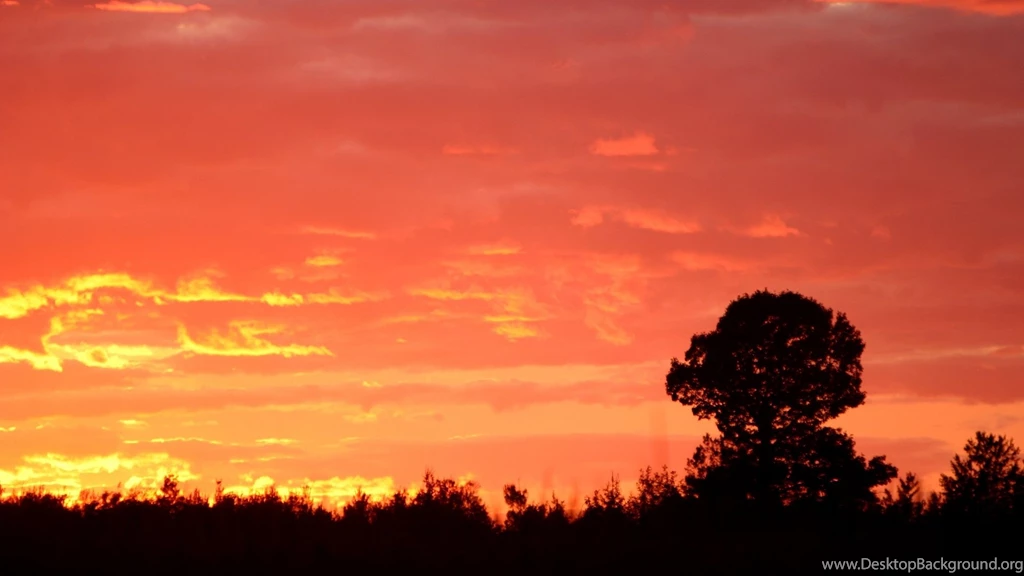 Landscape Wonderful Nature Quality Sunset Backgrounds Picture ...