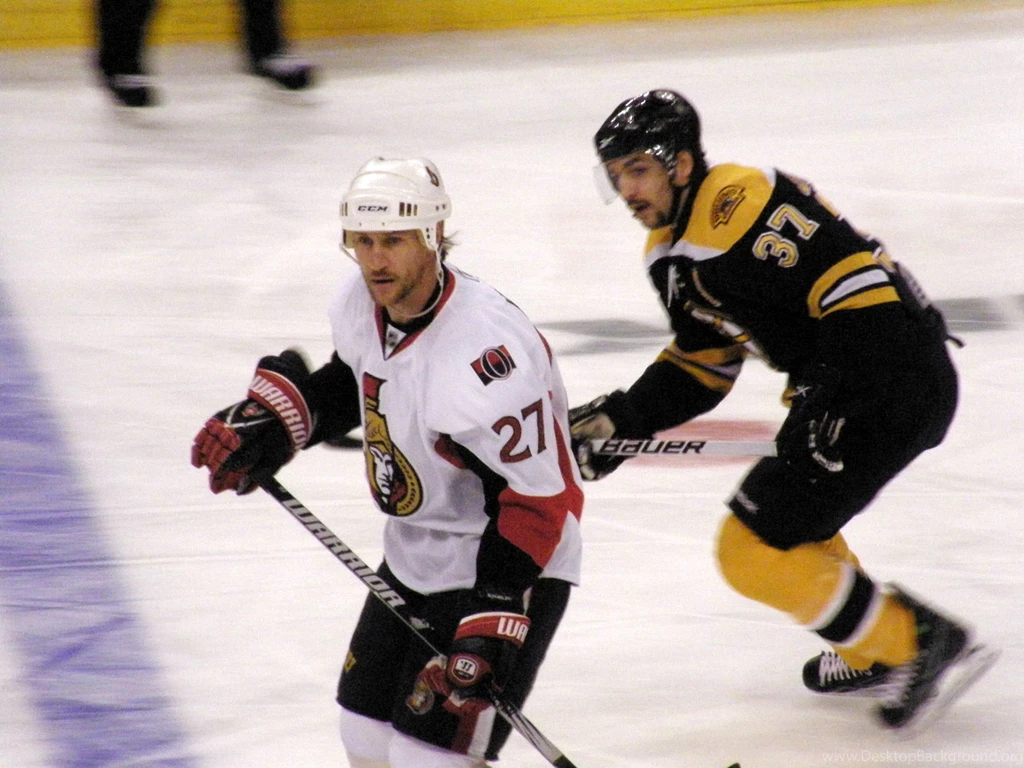 File:Alex Kovalev And Patrice Bergeron.jpg   Wikimedia Commons