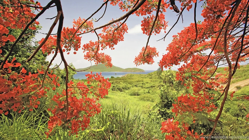 Puerto Rico Island Wallpapers 162032