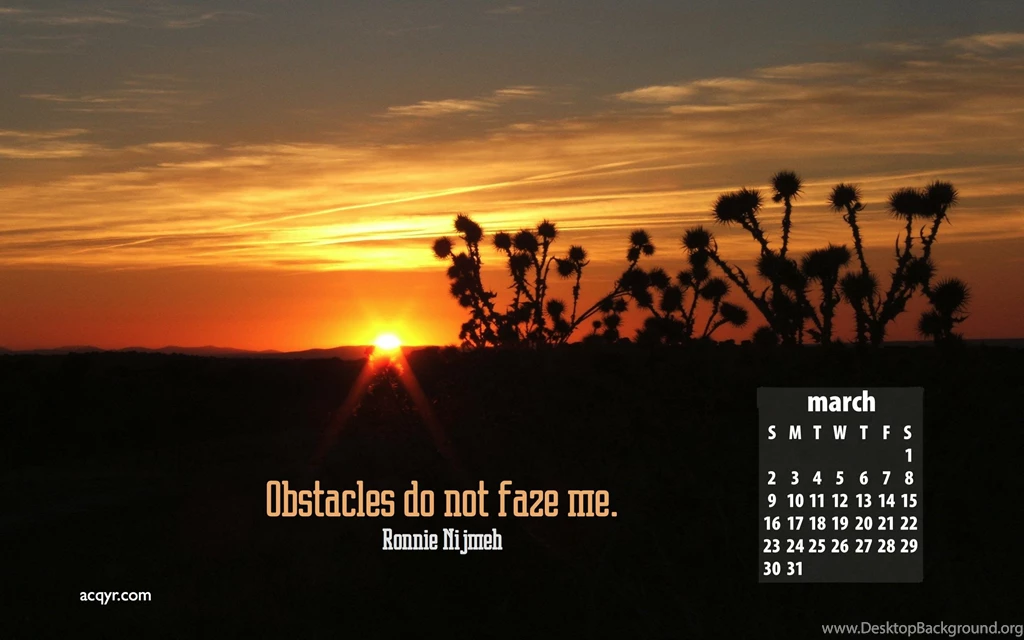 Free 2008 Desktop Calendar Wallpapers