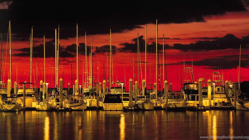 Wallpapers Gold And Black Nature Red Hd Free 1920x1080