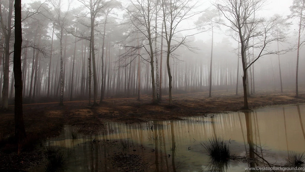 Boy, Nude, Trees, Forest, Sadness, Murky, Moss, Fog, Alone, Wallpapers