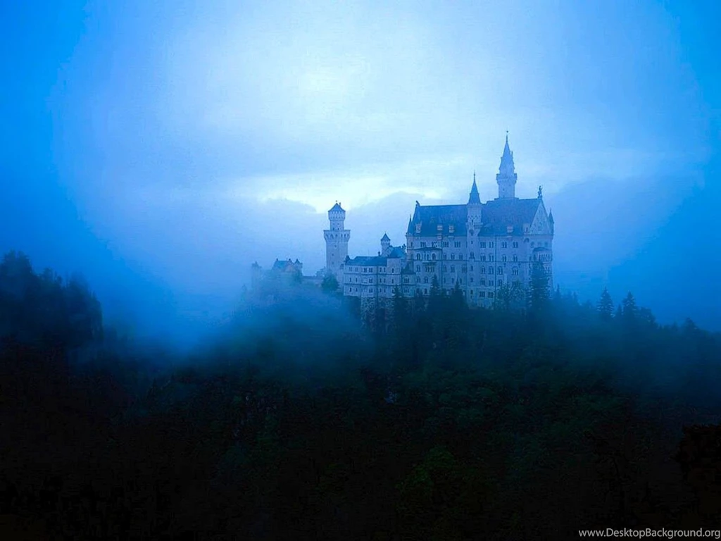 Free Desktop Wallpaper, Forest Fog