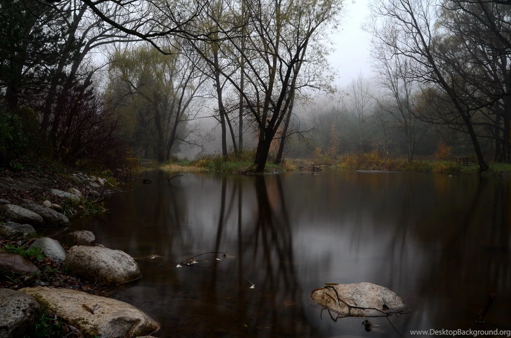 Fog Wallpapers