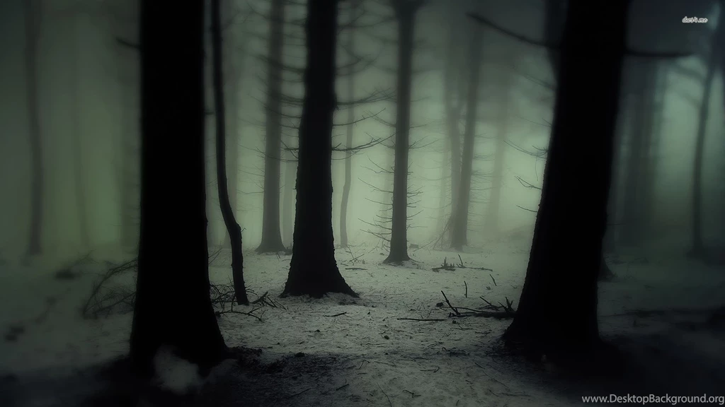 Dark And Foggy Forest Wallpapers Nature Wallpapers