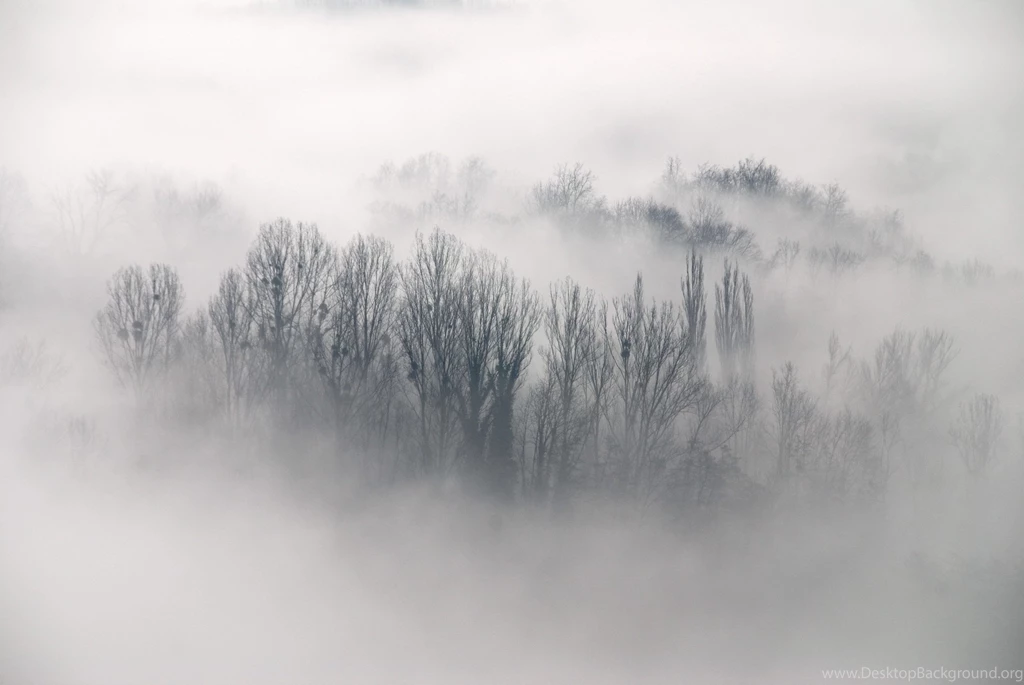 Fog Hd Wallpapers