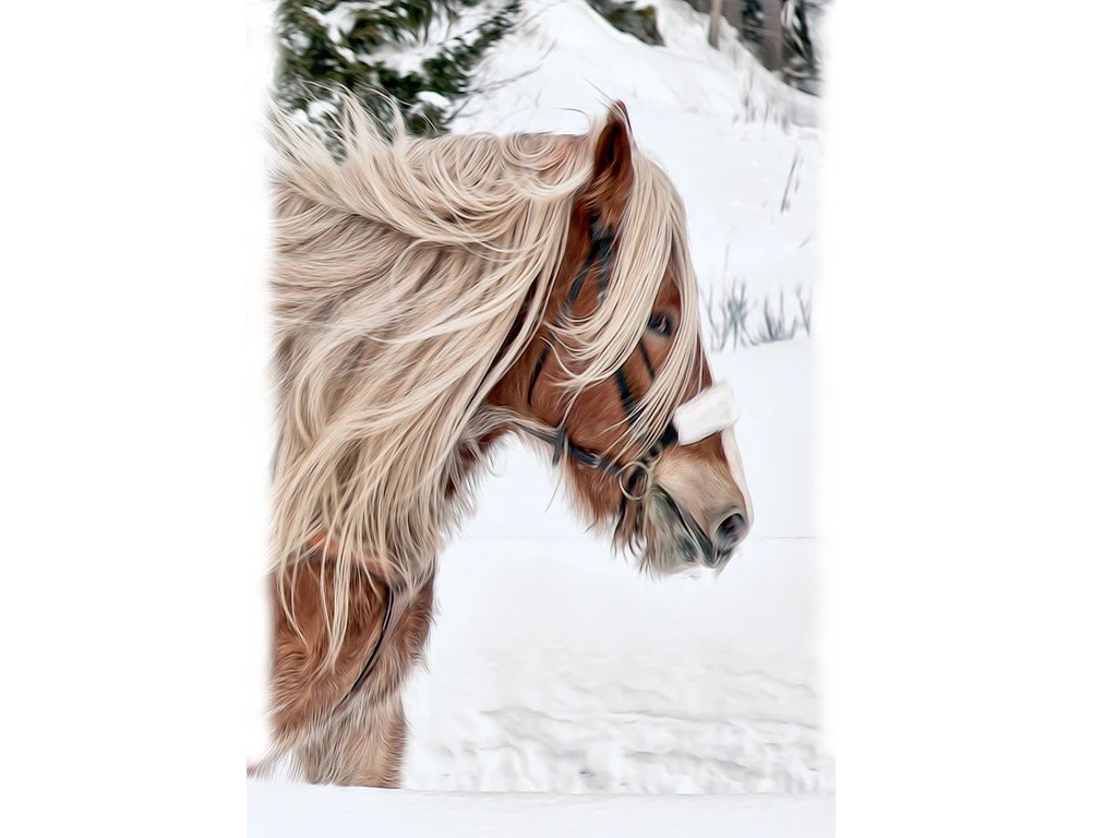 Horses: Clydesdale Budweiser Snow Horse Desktop Background Images ...