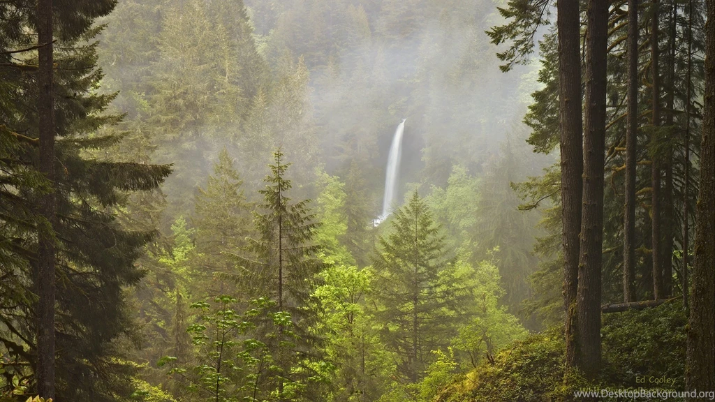 Ed Cooley Fine Art Photography