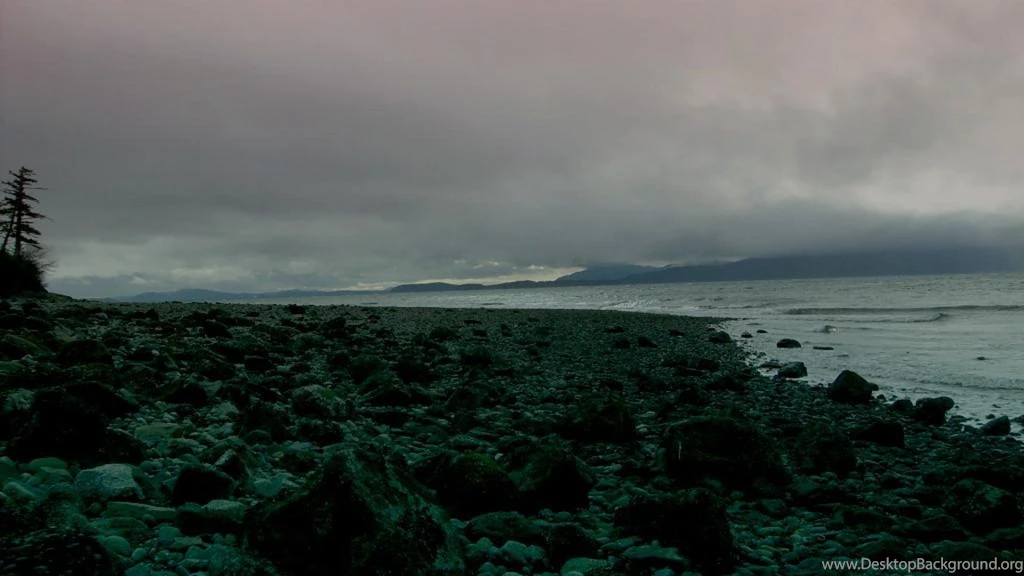 PACIFIC NORTHWEST BEACH WALLPAPER   (