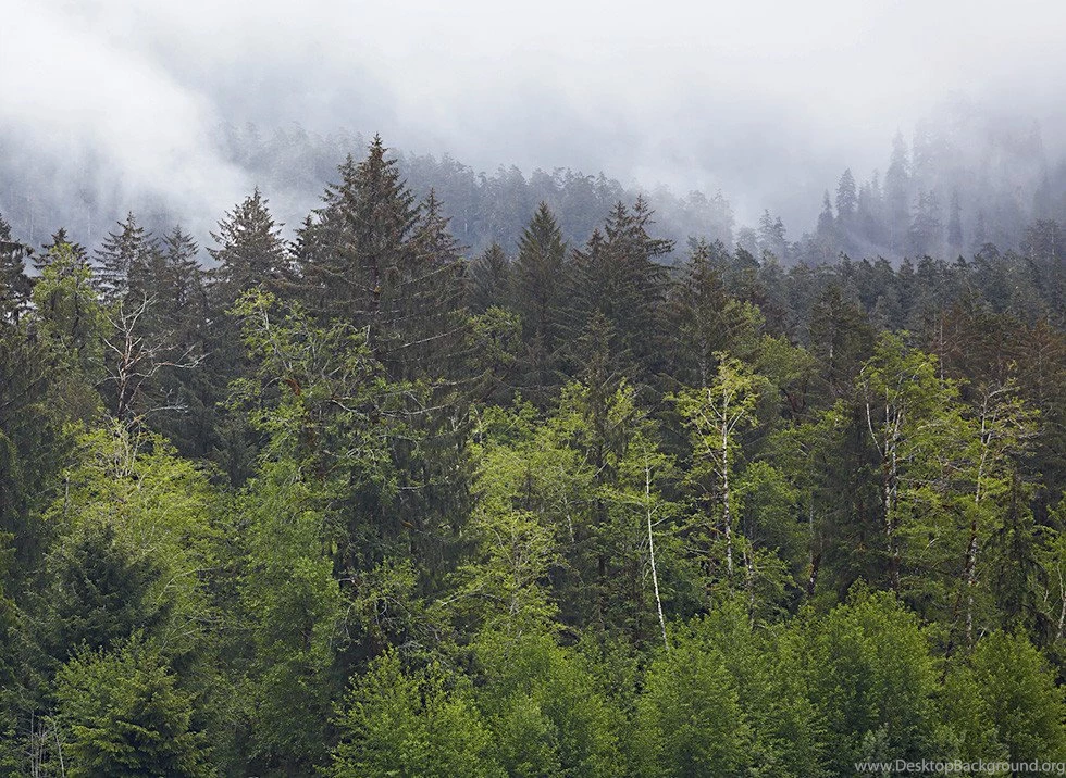 Pacific Northwest Wallpapers   Wallpapers Cave