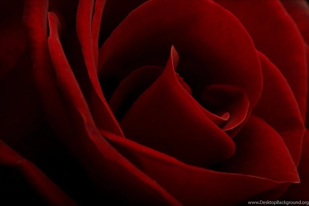 Red Velvet Wallpapers   All Wallpapers New