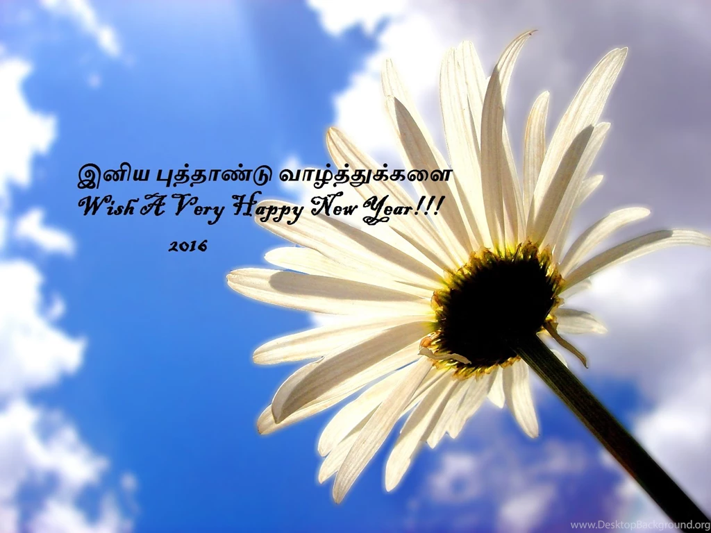 Tamil New Year Greetings 2016 Hd Wallpapers Free Download