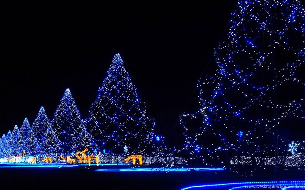 Blue Christmas trees magic night_5120x3200.jpg