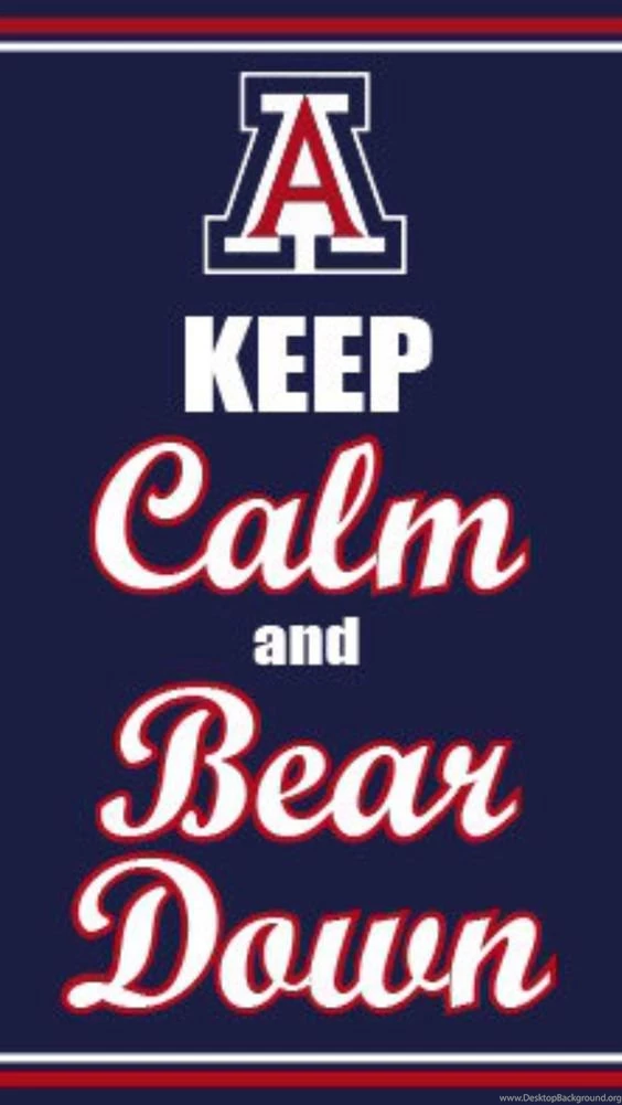 Bear Down On Pinterest