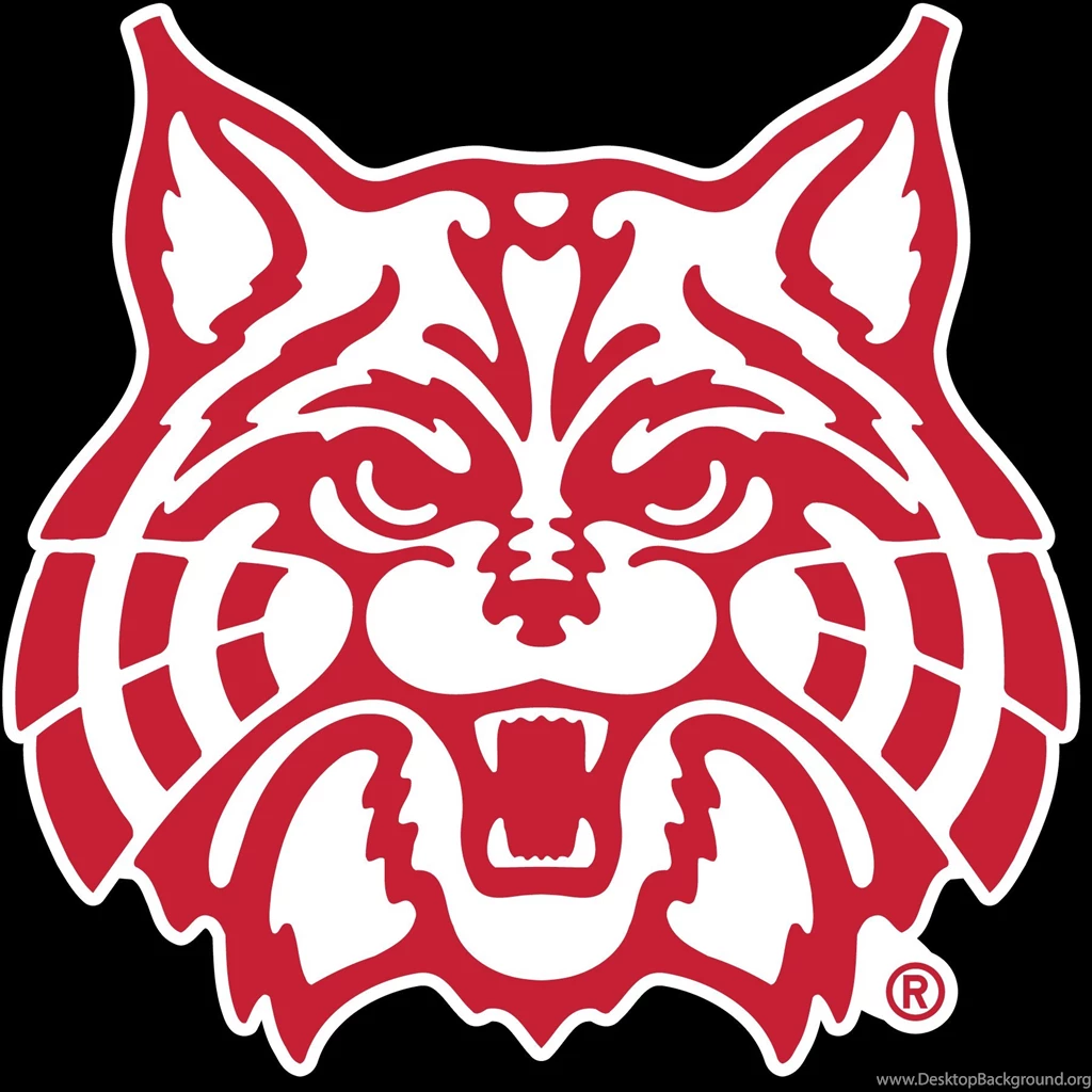 ARIZONA WILDCATS College Football Wallpapers