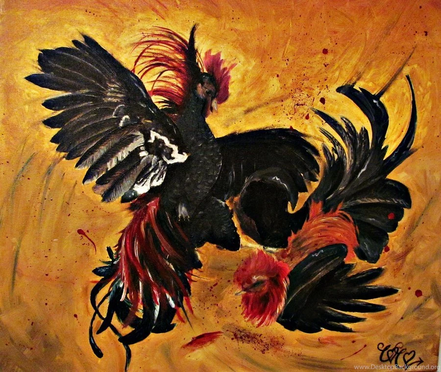 Cock Fight Lol By CocoLuvv On DeviantArt