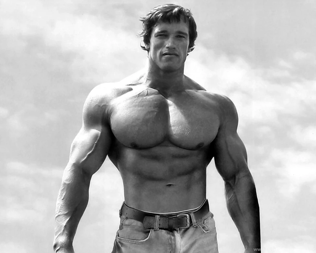Biggest Body Builders: Arnold Schwarzenegger Wallpapers Hd