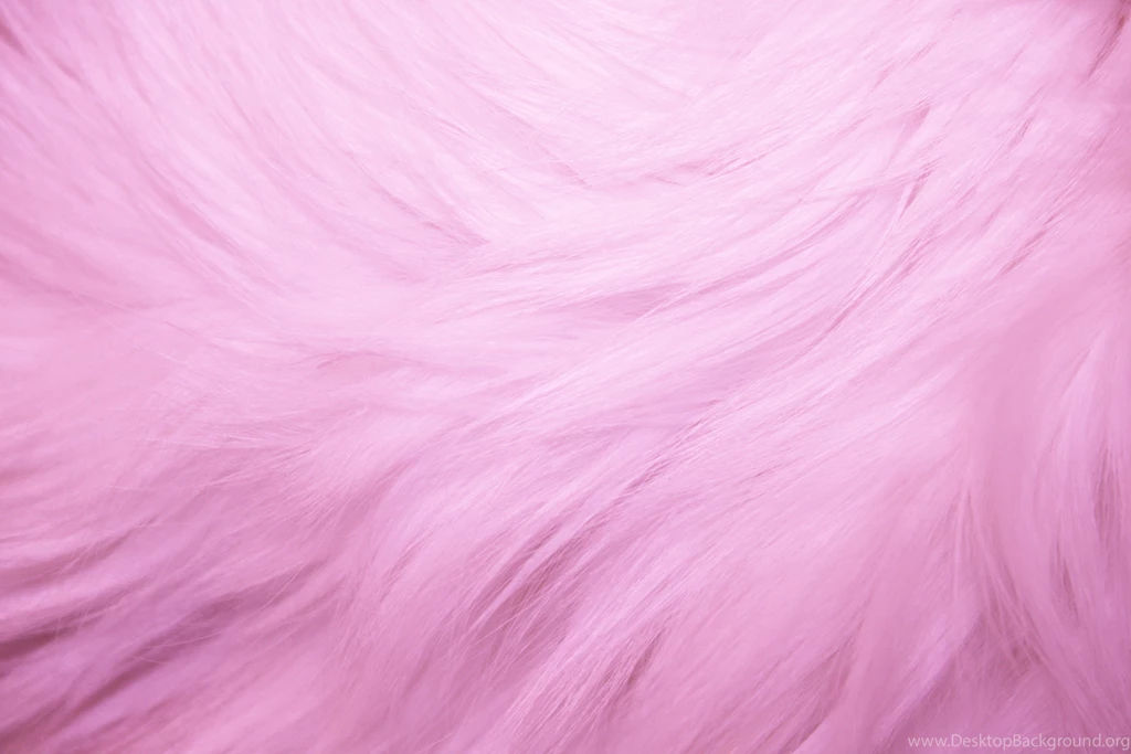 Pink Fur Wallpapers Wallpapers HD Fine