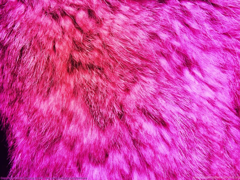 Purple And Pink Wolf Fur By DEATHD0G101 On DeviantArt