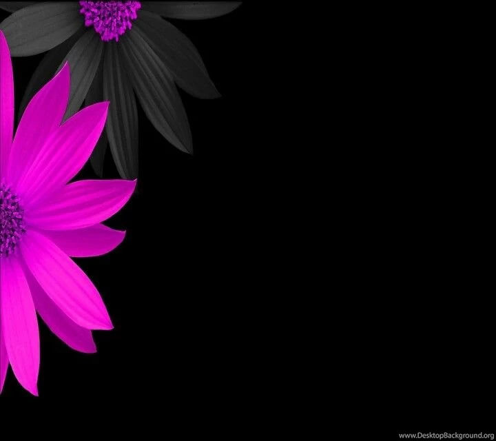Pink On Black