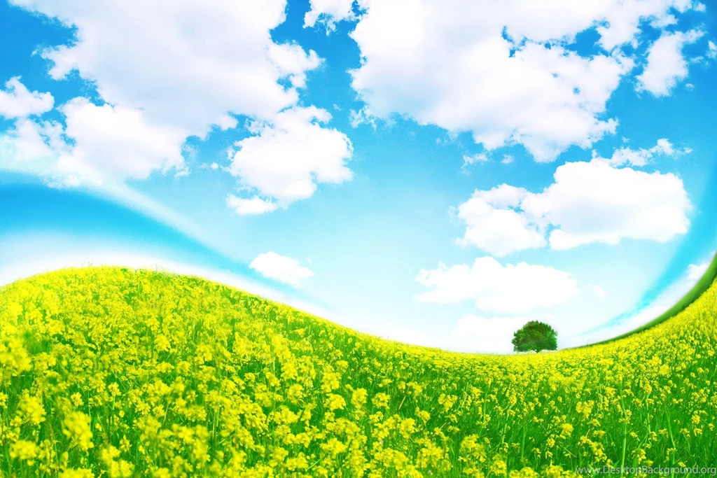 Grass And Sky Wallpapers 1080p @378 ~ Wallove