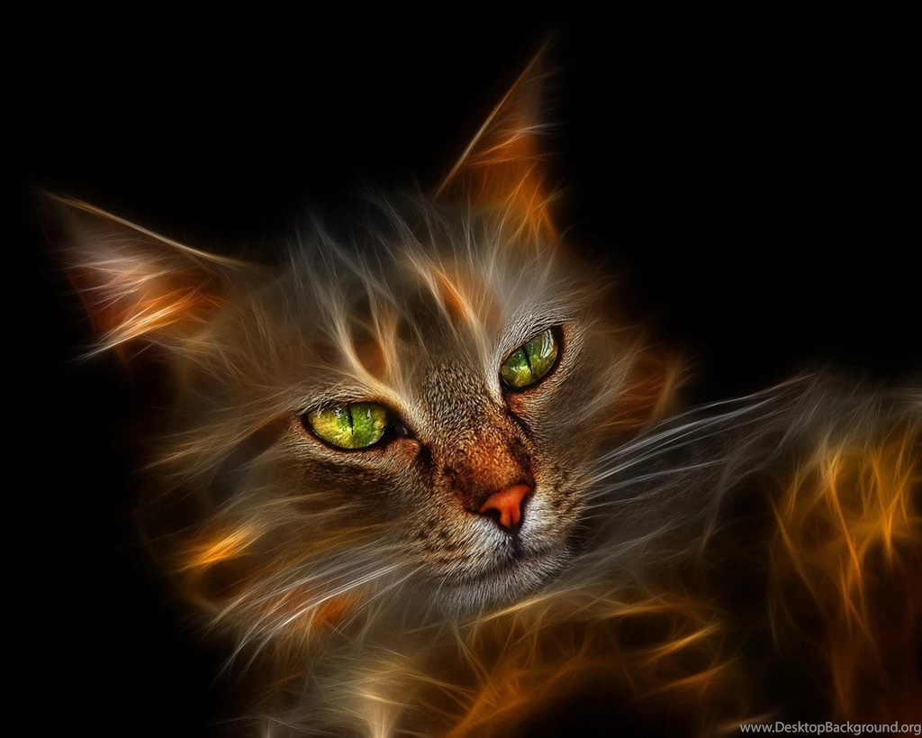 Desktop Wallpapers · Gallery · Windows 7 · Windows 7 Wallpapers Cat ...