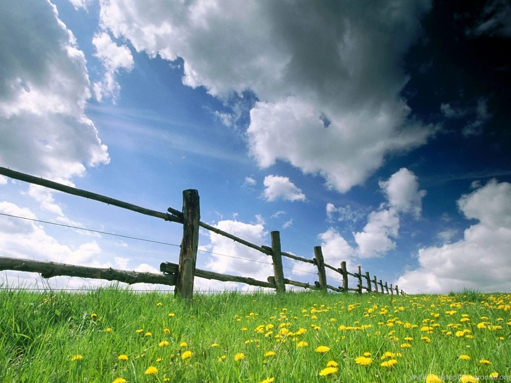 Grass And Sky Wallpapers HD Resolution @716 ~ Wallove
