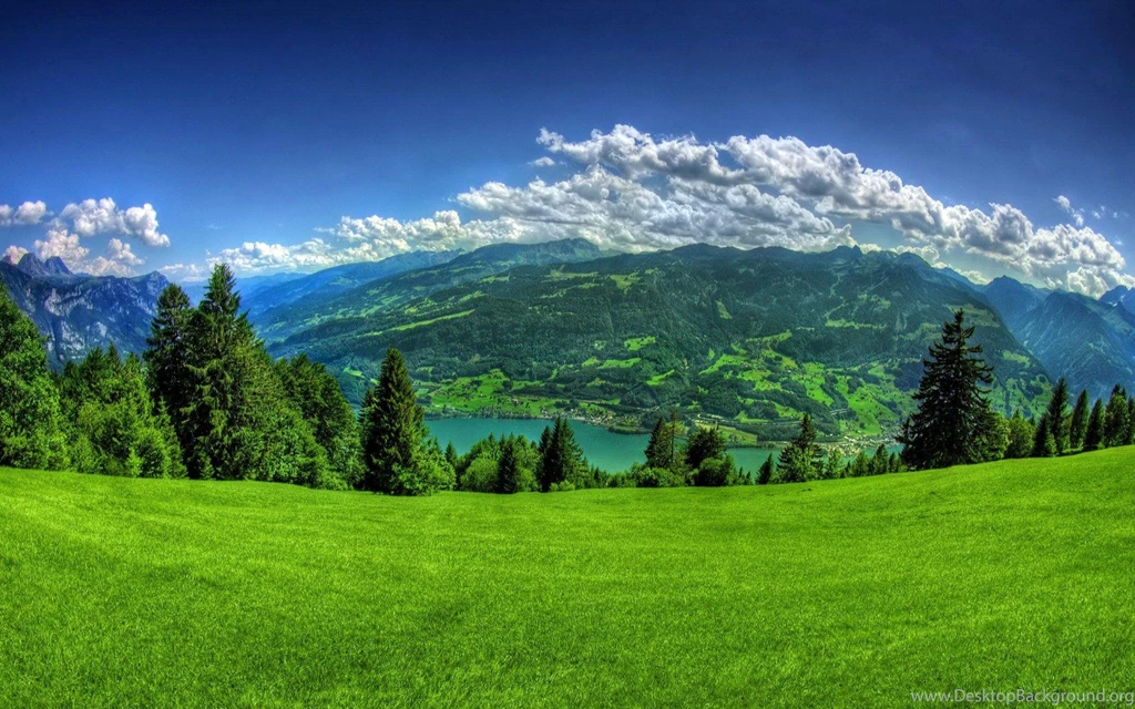 Switzerland Scenery Mountains Sky Walenstadt Grass Fir Nature High ...