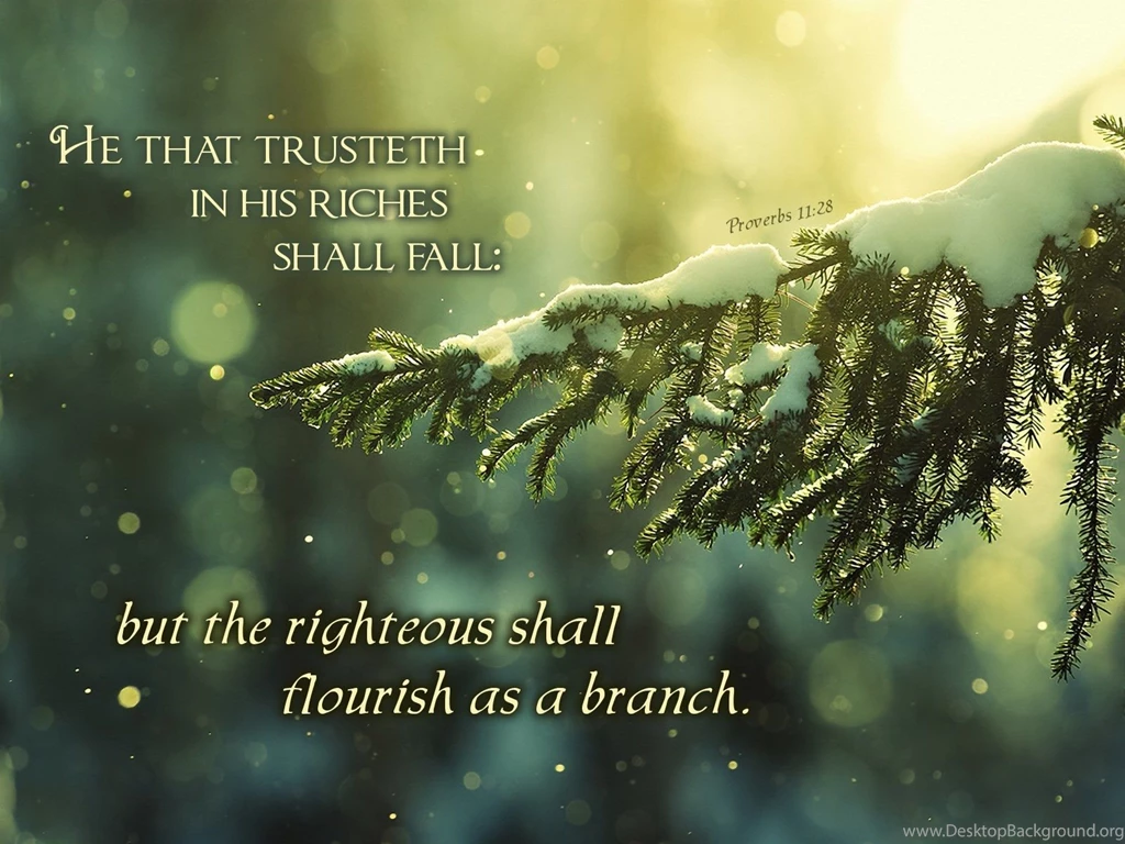 Proverbs 11:28 Wallpapers   Christian Wallpapers And Backgrounds