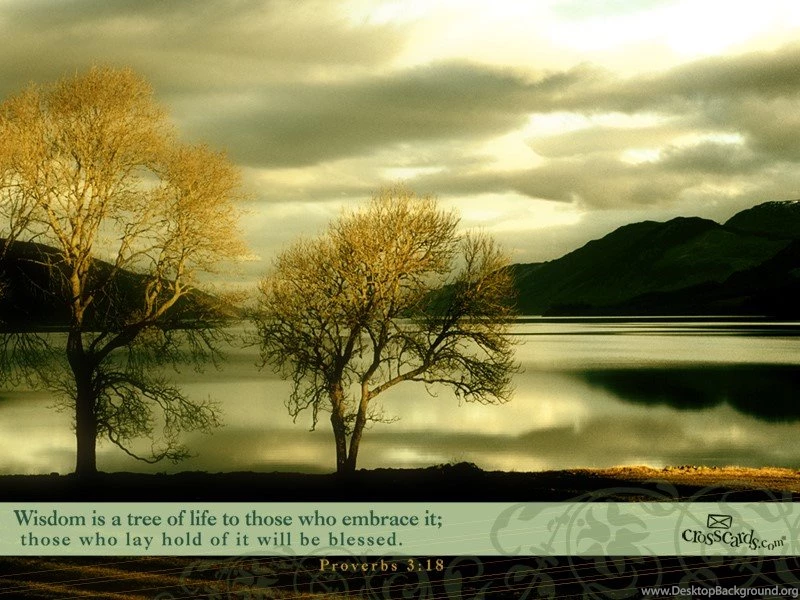 Proverbs 3:18 Wallpapers   Free Nature Desktop Backgrounds