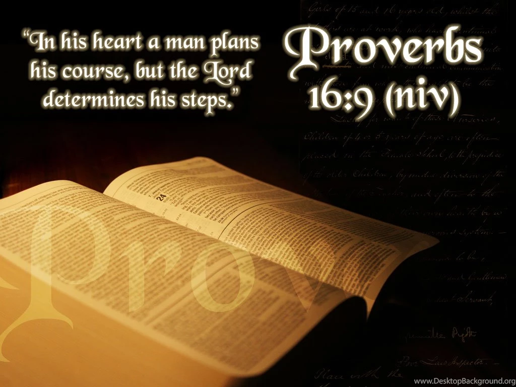 Wallpapers Tithes Proverbs Scripture Bible Picture Hd For Your ...