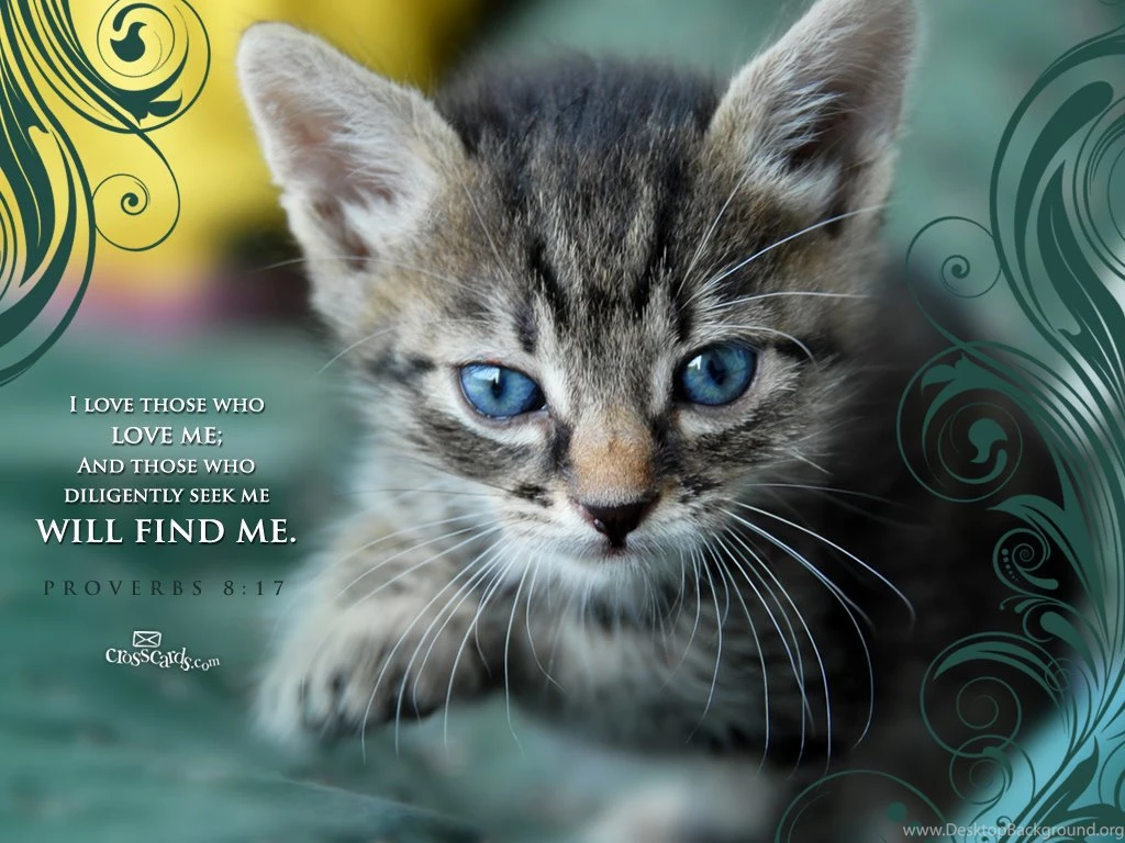 Proverbs Wallpapers And Backgrounds