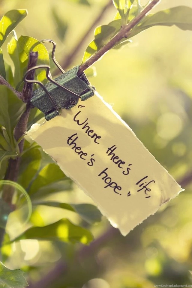 Proverbs iPhone Wallpapers