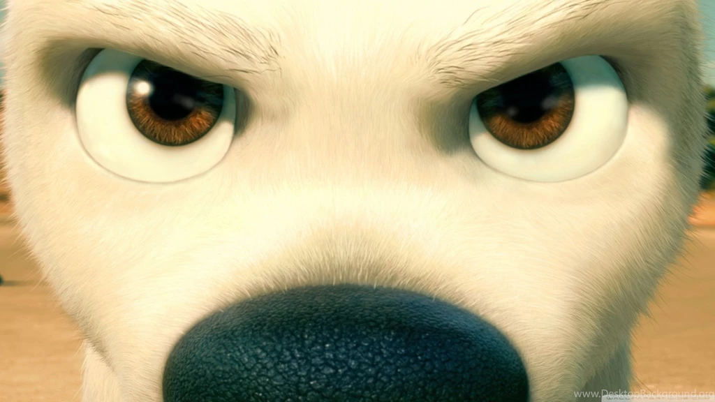 Bolt Close Up HD Desktop Wallpapers : Widescreen : High Definition ...